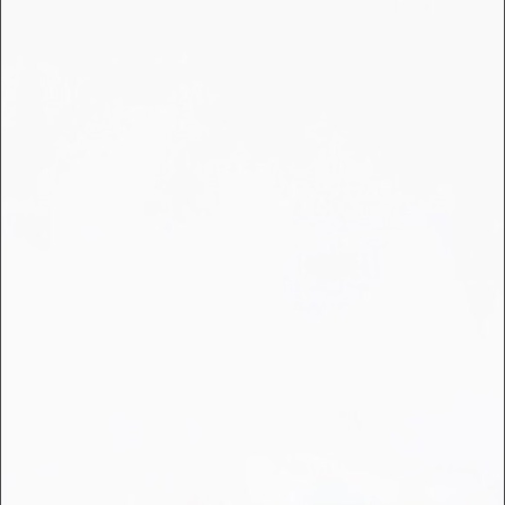 Meet your Posher, Laney